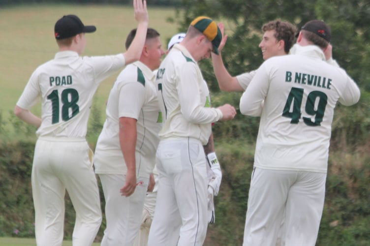 Callington Thirds celebrate a wicket during their Division Four East clash at Werrington on Saturday. Picture: Paul Hamlyn.