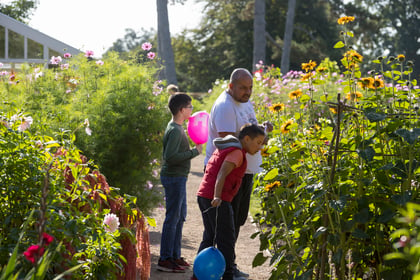 National Trust to celebrate history and culture at heritage open days