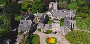 A chance to step into spring at Cotehele