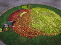 Picture-perfect apples for Cotehele's weekend apple extravaganza