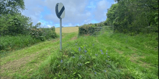 Plans for new town cemetery could be revived 