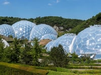 Things are getting creepy and crawly this Hallowe'en at Eden Project