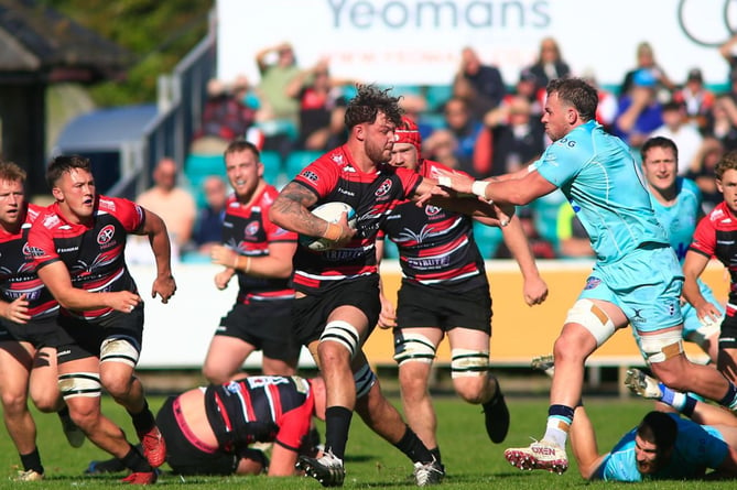 Lock Charlie Rice, pictured trying to break clear of the Bedford Blues defence, was the Cornish Pirates man of the match on Saturday. Picture: Brian Tempest