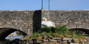 Swan Island gets a refurbishment