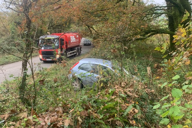 The car crashed off the road early on Wednesday morning (October 6) ending up in the hedge at the bottom of the garden. (Picture: Lyn Jones)