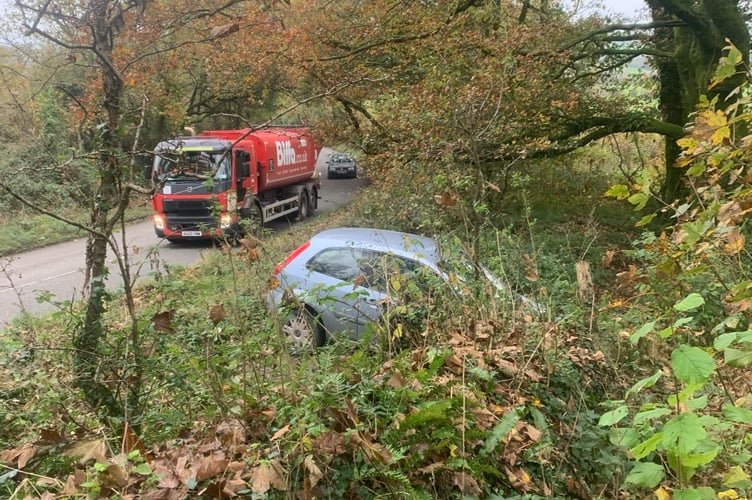 The car crashed off the road early on Wednesday morning (October 6) ending up in the hedge at the bottom of the garden. (Picture: Lyn Jones)