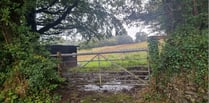 Fifth refusal for hedgerow plan 