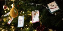 Singing and sparkle at Christmas Tree Festival 