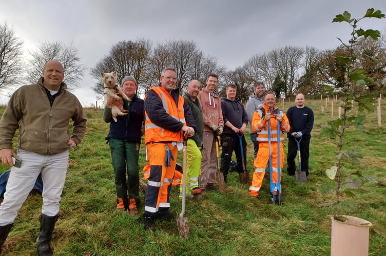 SUEZ volunteers join members of the Forest For Cornwall team for a spot of tree planting at Notter Bridge, near Saltash