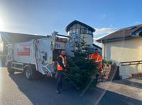 Recycle your Christmas tree in return for a donation