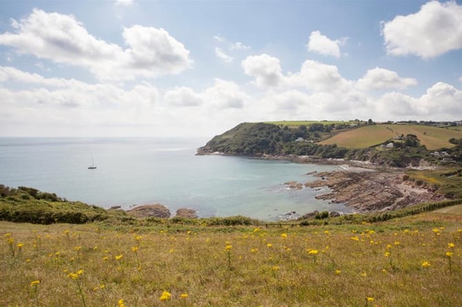 Guided walks along the coast are among the events planned for a new month-long community festival in the East and West Looe valleys