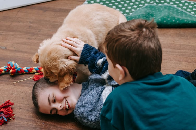 Ellie's wish was to have lots of golden retrievers around her to cuddle and play with