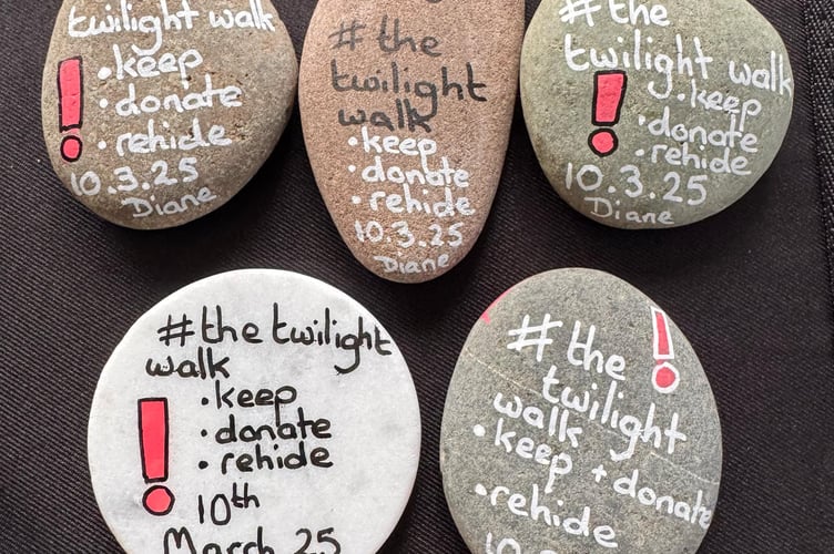 Diane paints rock for a hobby and dotted #twilightwalk rocks around the site. (Picture: Diane Smith)